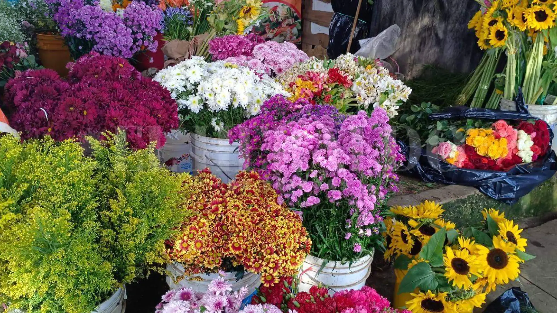 Venta de flores en San Cristóbal de las Casas (3)